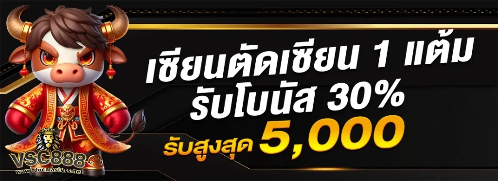 เว็บ vsc888
